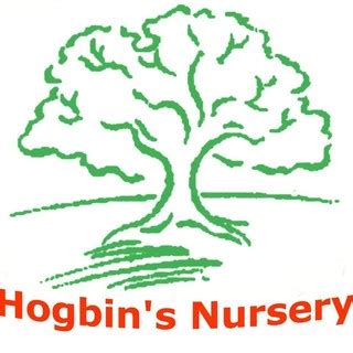 hogbins nursery reviews